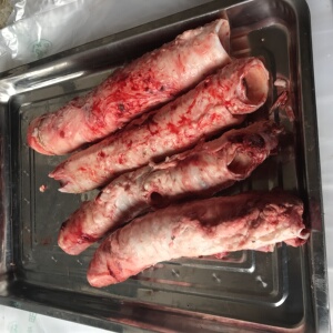 新鲜黄牛牛喉管 包邮 零食 黄牛喉咙管(500g)脆骨 牛气管肺管