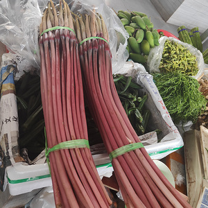 云南德宏新鲜芋头花杆芋干紫色芋杆农家自种荷花500克食用蔬菜