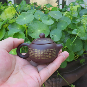 宜兴紫砂茶壶心经西施小品茶壶 徐丹明手工包邮60cm