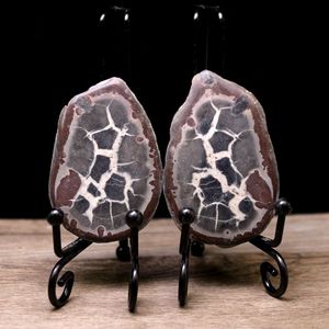 天然摩洛哥龟纹石龟背石纹理清晰奇石原石科普教学标本收藏摆件