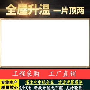 石墨烯碳晶墙暖壁画壁挂式电加热板工程采购节能省电取暖器电暖画