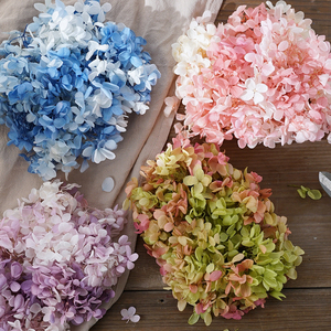 绣球花干花散装