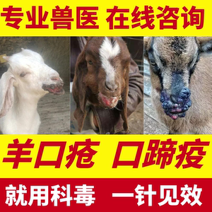 羊口疮灵一针灵