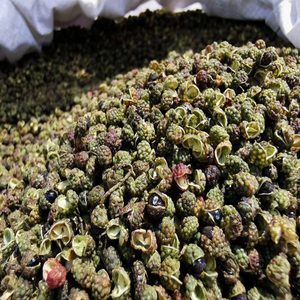 攀枝花高原野生干青花椒 麻椒 滕椒 老品种 特麻香料调味 1斤包邮