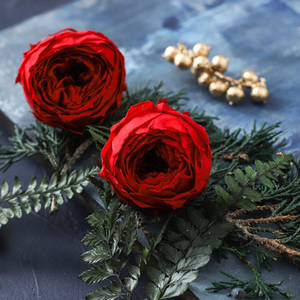 红色奥斯汀永生花