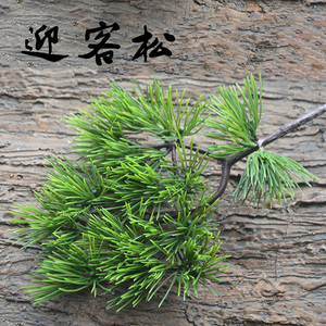 【松叶枝仿真】松叶枝仿真品牌,价格 - 阿里巴巴