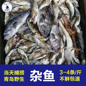 新鲜海杂鱼500g鲜活海鱼野生海鲜水产小黄鱼鲳鱼舌头鱼鱿鱼豆腐鱼