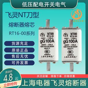 熔断器熔芯保险丝飞灵RT16-00熔丝NT0063A100A125ANT1/2/3刀型