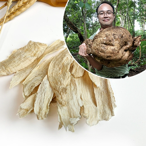 野葛根压片糖果少女养护懒人神器白葛根白高颗粉泰国野葛根3号店