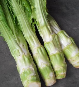 5斤四川宜宾特产新鲜棒棒青菜芥菜大头菜农家蔬菜儿菜娃娃菜现摘