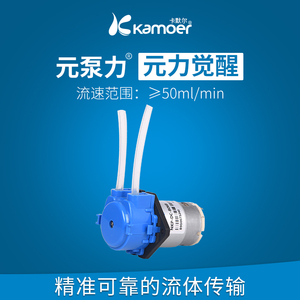 卡默尔蠕动泵12v微型自吸泵电动直流循环抽水泵水冷小泵 迷你水泵