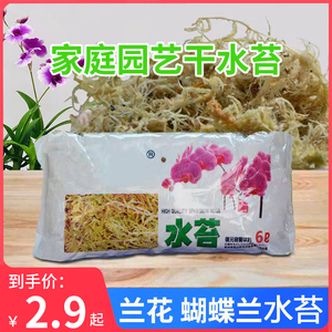 优质水苔无菌干水苔蝴蝶兰花专用营养土苔藓石斛食虫植物乌龟爬宠