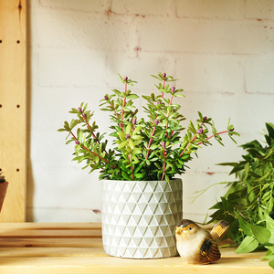 第贰城 草本 水泥花盆与仿真马齿苋植物盆栽 盆景 花艺 art161