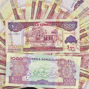 【1张包邮保真】索马里兰1000羊群 外国纸币钱币各国货币真币收藏