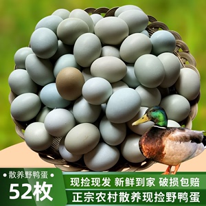 绿头野鸭蛋52枚一箱新鲜农家散养土鸭蛋生鸭蛋鲜鸭蛋整箱