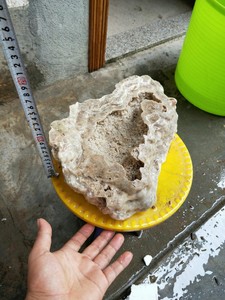 天然云盆 钟乳石 珍珠石盆 笔筒 结晶盆 钟乳石盆 深山溶洞采挖