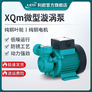 利欧水泵XQM50 60 70自来水太阳能锅炉管道增压泵微型小型旋涡泵