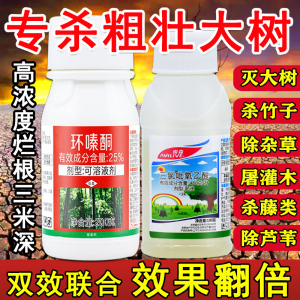 杀大树药专用烂根杀树王除树剂环嗪酮快速杀死大树死亡的药灭树王