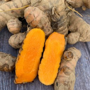 广西野生姜黄新鲜小黄姜红姜现挖药用黄姜产后调节月子食用农产品