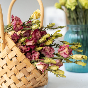 洋桔梗干花包邮