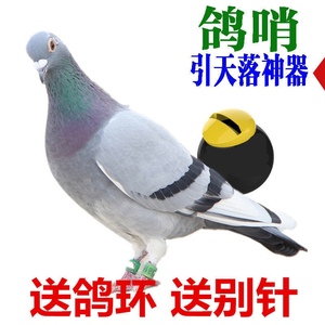 唯美52113140802淘宝尾哨 鸽具用品鸽子尾哨风哨笛高飞超轻鸽子哨子