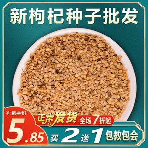 宁夏正宗枸杞子种子正品特级红枸杞种籽春四季种植阳台盆栽蔬菜苗