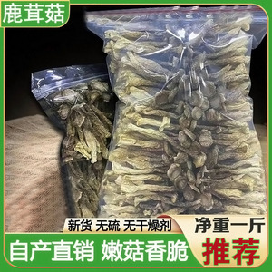 鹿茸菇干货500g鹿茸菌新鲜营养商用脆蘑菇野生菌干香菇土特产特级