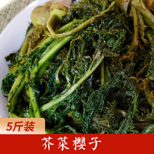 芥菜樱子咸菜东北