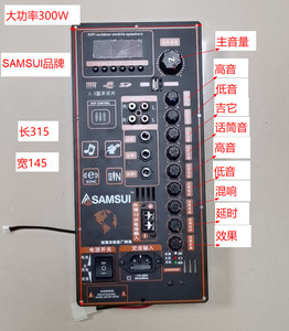 山水12v220v大功率广场舞蓝牙功放板便携式拉杆移动音箱功放板