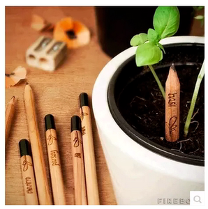 Sprou Pencil萌芽种子会发芽的铅笔文具创意迷你植物小盆栽