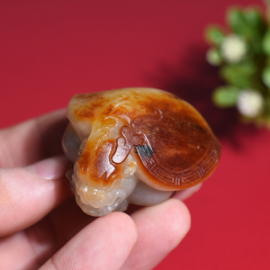 红皮龙龟61g新疆和田玉手把件籽料大开门荣归雕件真皮草花糖沁