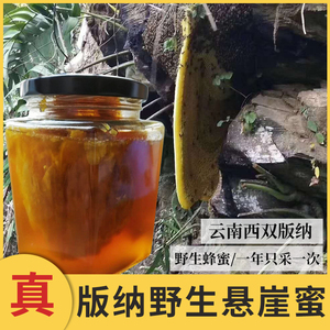 云南西双版纳野生蜂蜜悬崖岩蜜黑蜜酸蜂蜜树洞蜜土蜂蜜巢蜜百花蜜