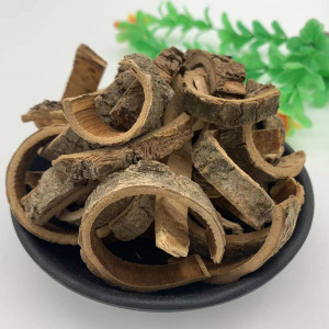 中药材海桐皮正品新货刺桐皮 鼓桐皮包邮 钉桐皮500克可磨粉