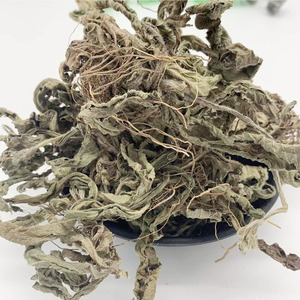 广西正宗野生地胆头红花地苦地胆中药材地胆草晒干煲汤料500g包邮