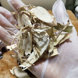 棉花根中药材 野棉花根 500克包邮 过冬棉花根 新疆棉花根 新货