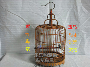 乐乐购小鸟笼 白玉鸟笼 相思珍珠绣眼靛颏 竹鸟笼配件 装饰鸟笼