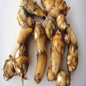 安徽大别山岳西特产农家自种新鲜芋头蔬菜毛芋头香芋毛芋现挖现发