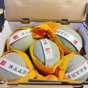 长春市配送林氏可可蜜日本品种玫瓏软心蜜瓜软糯甜新鲜水果5枚
