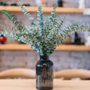 新鲜尤加利叶鲜花昆明花卉市场斗南直发花束水养真花插花直批配花