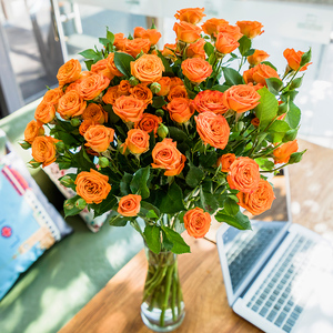 b级橙色芭比多头小玫瑰泡泡玫瑰花玫瑰云南直发昆明基地斗南花市