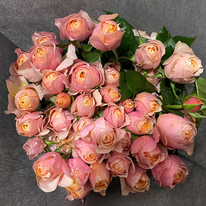 b级粉蝴蝶玫瑰花多头小玫瑰泡泡云南直发昆明直批基地斗南花市