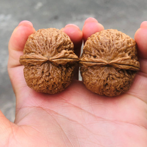 铁狮子闷墩2棱文玩铁核桃云南野生落地果铁皮厚壳把玩铁核桃