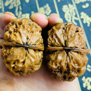 文玩3棱七彩多棱野生铁核桃自然下树落地果文玩铁核桃