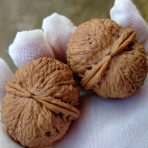 云南野生把玩铁核桃蚂蚁纹2棱闷尖文玩核桃心型厚壳铁皮核桃