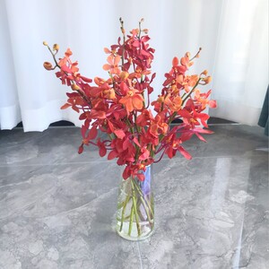 以花之名千代兰红色鲜花洋兰万代兰直批顺丰上海插花婚庆水养鲜切