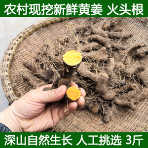 农村土特产黄姜 火藤根 黄姜种盾叶薯蓣 新鲜生火头根3斤装