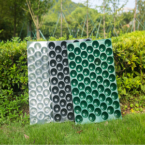 100孔育苗穴盘.营养钵.育苗钵盘.西瓜育苗辣椒玉米蔬菜烟草育苗盘