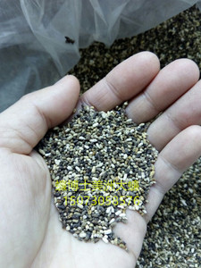 道具 仿真大便 整人 蛆虫 蟑螂  整蛊 恶心 屎 苍蝇等0人付款3