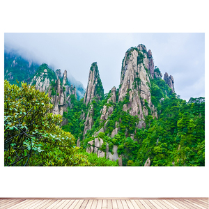 大山高山风景墙贴画家用背景墙装饰画靠山招财自然景观自粘画7人付款