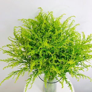 黄英鲜花束真花云南基地空运直发百合花玫瑰配花教师节同城速递